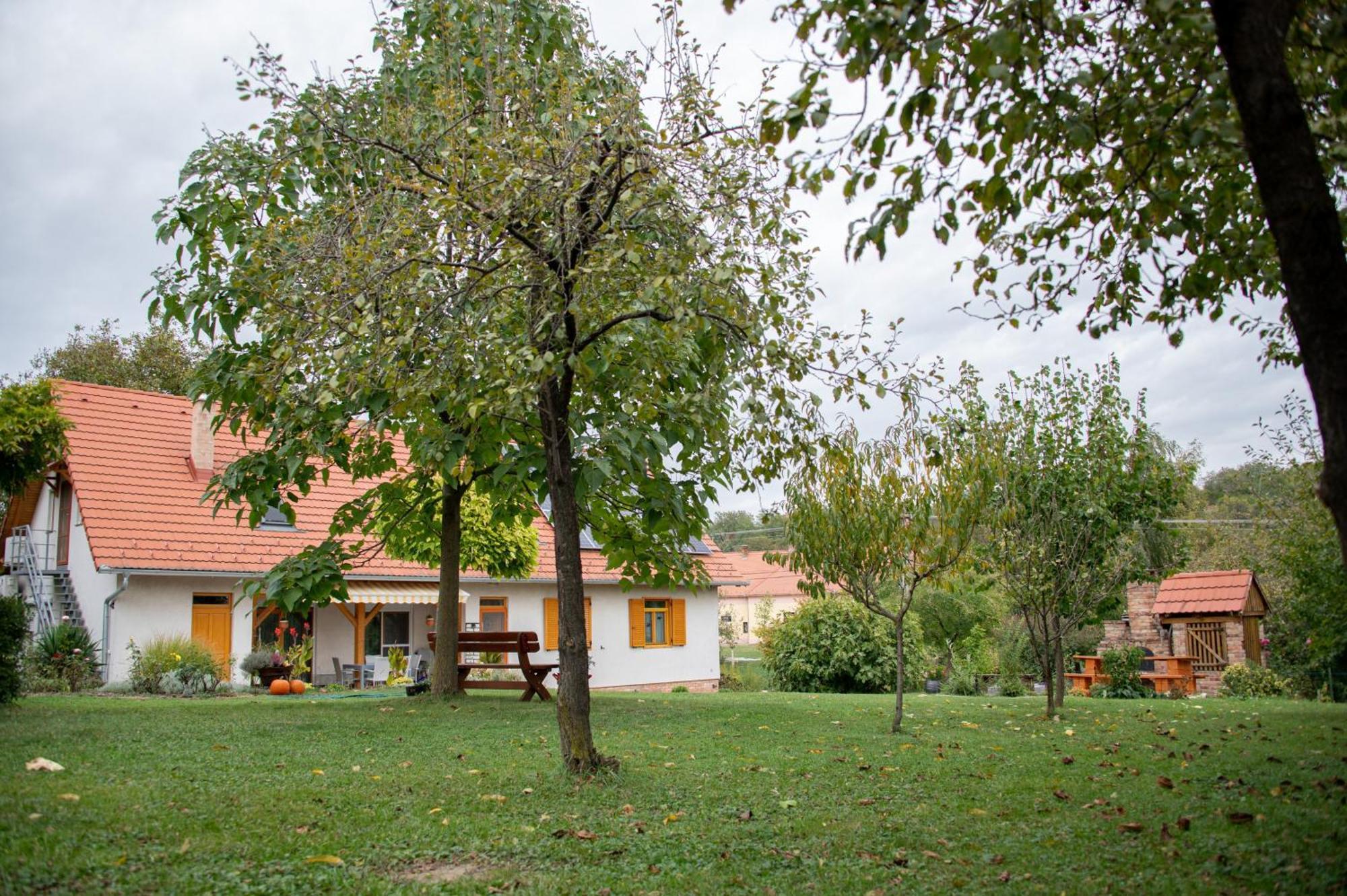 Rozmaring Vendeghaz Ξενοδοχείο Zengővárkony Εξωτερικό φωτογραφία